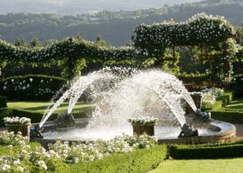 Le jardin Blanc