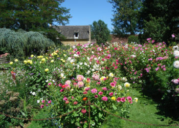 Jardin Fleuriste à Eyrignac