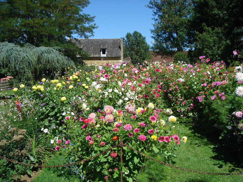 La scarification du gazon (Les conseils du chef jardinier d'Eyrignac) :  Eyrignac et ses jardins