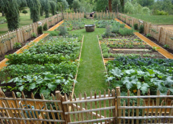 Jardin Potager à Eyrignac