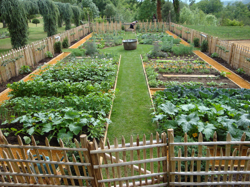 jardin potager