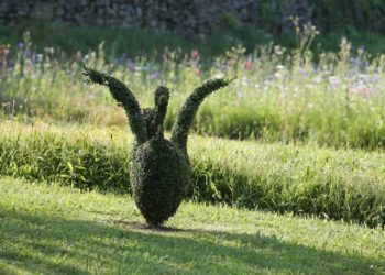 La basse-cour de topiaires ®JeromeMorel