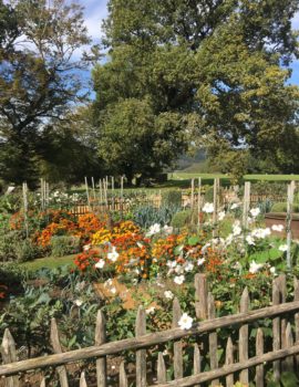 Jardin Potager à Eyrignac