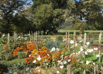 Jardin Potager à Eyrignac