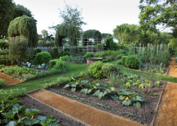 Le potager d'Eyrignac ®Jérome Morel