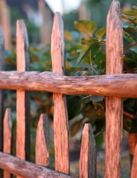 Le potager d'Eyrignac ®Jérome Morel