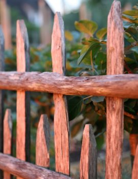 Le potager d'Eyrignac ®Jérome Morel