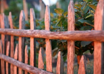 Le potager d'Eyrignac ®Jérome Morel