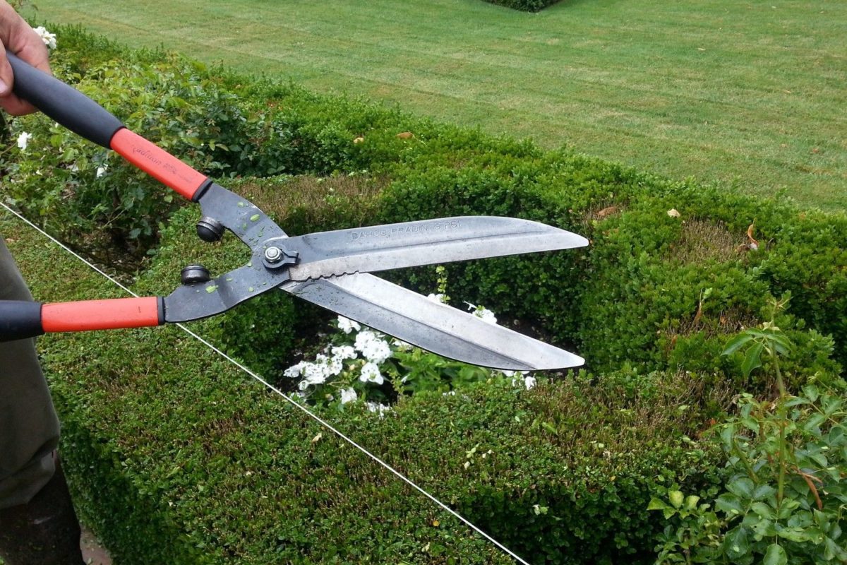 La scarification du gazon (Les conseils du chef jardinier d'Eyrignac) :  Eyrignac et ses jardins