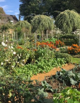 Potager à Eyrignac