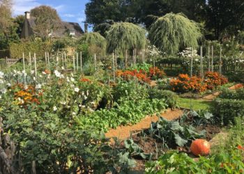 Potager à Eyrignac