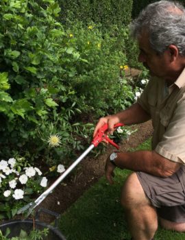 Travaux d'été dans les Jardins d'Eyrignac