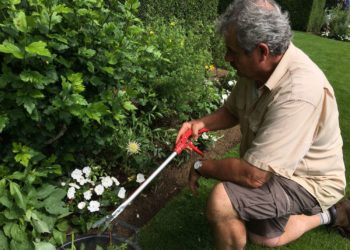 Travaux d'été dans les Jardins d'Eyrignac