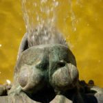 Grenouille du jardin blanc d'Eyrignac