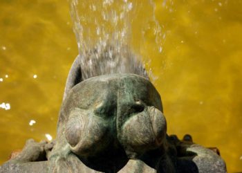 Grenouille du jardin blanc d'Eyrignac