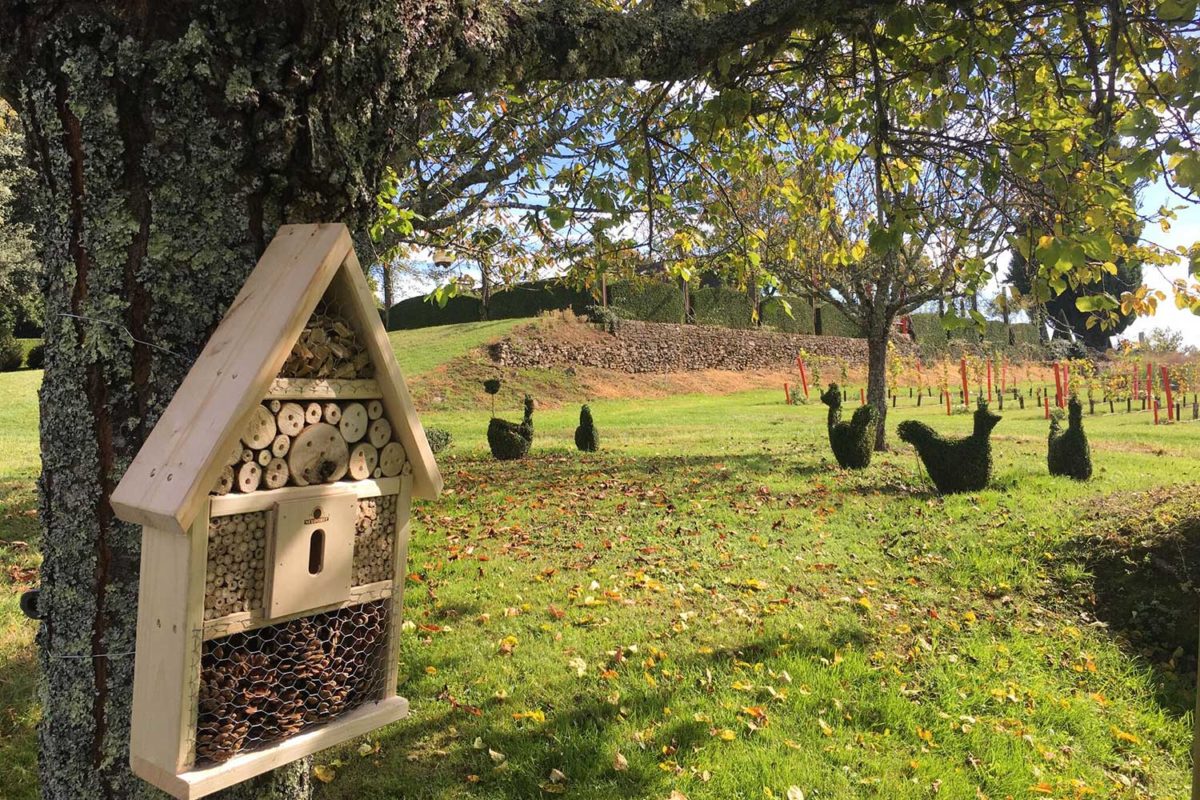 La basse cour végétale des jardins d'Eyrignac