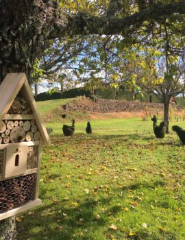 La basse cour végétale des jardins d'Eyrignac