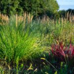 Jardin des Sources ©Dan Courtice