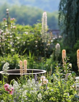 Jardin Fleuriste ©Jérome Morel