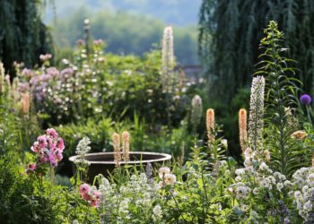 Jardin Fleuriste ©Jérome Morel