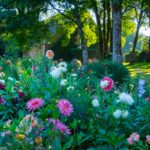 Jardin Fleuriste ©Dan Courtice