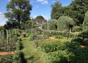 Jardin Potager ©Jérome Morel