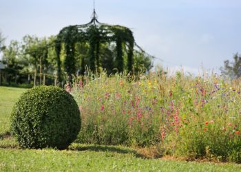 Jardin des Sources ©Jérome Morel