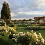 Jardin Blanc ©Georges Lévêque