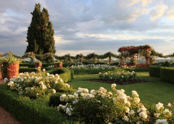 Jardin Blanc ©Georges Lévêque