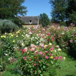 Jardin Fleuriste