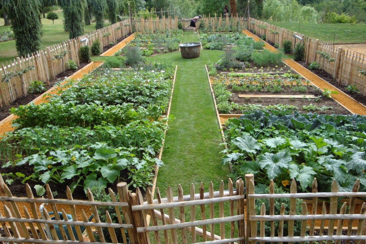 Jardin Potager