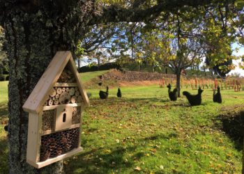 Jardin des Sources