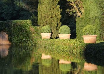 Miroir d'eau d'Eyrignac Les Jardins d'Eyrignac ©Jérome Morel