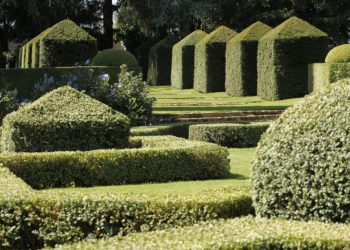 Parterre à la Française ©Eric Sander