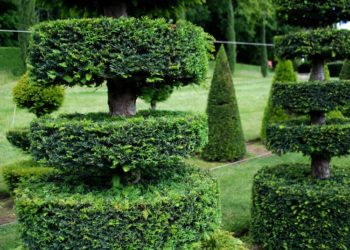 Rendez-Vous aux jardins à Eyrignac