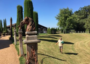 Entretien des Gazons à Eyrignac