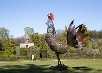 Exposition Pierre Treilhes Coq