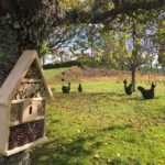 L'hôtel à insectes et la basse-cour de topiaires d'Eyrignac et ses jardins