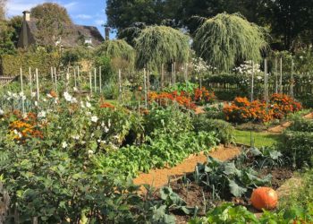 Le jardin potager d'Eyrignac à l'automne