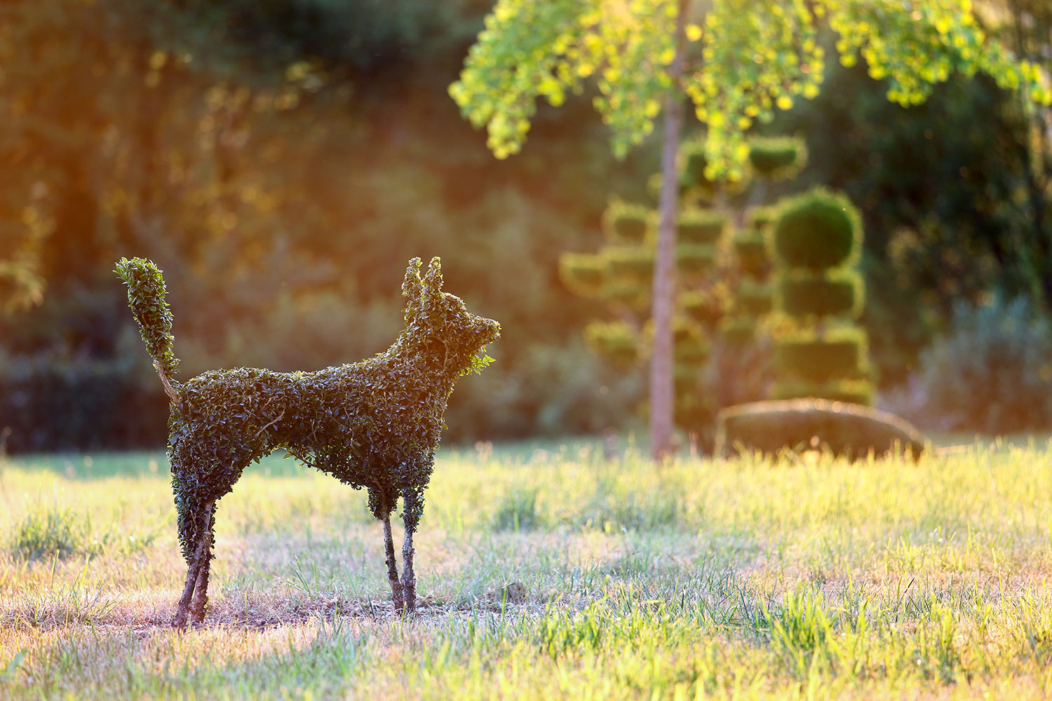 Topiaire en forme de chien dans les jardins d'Eyrignac.