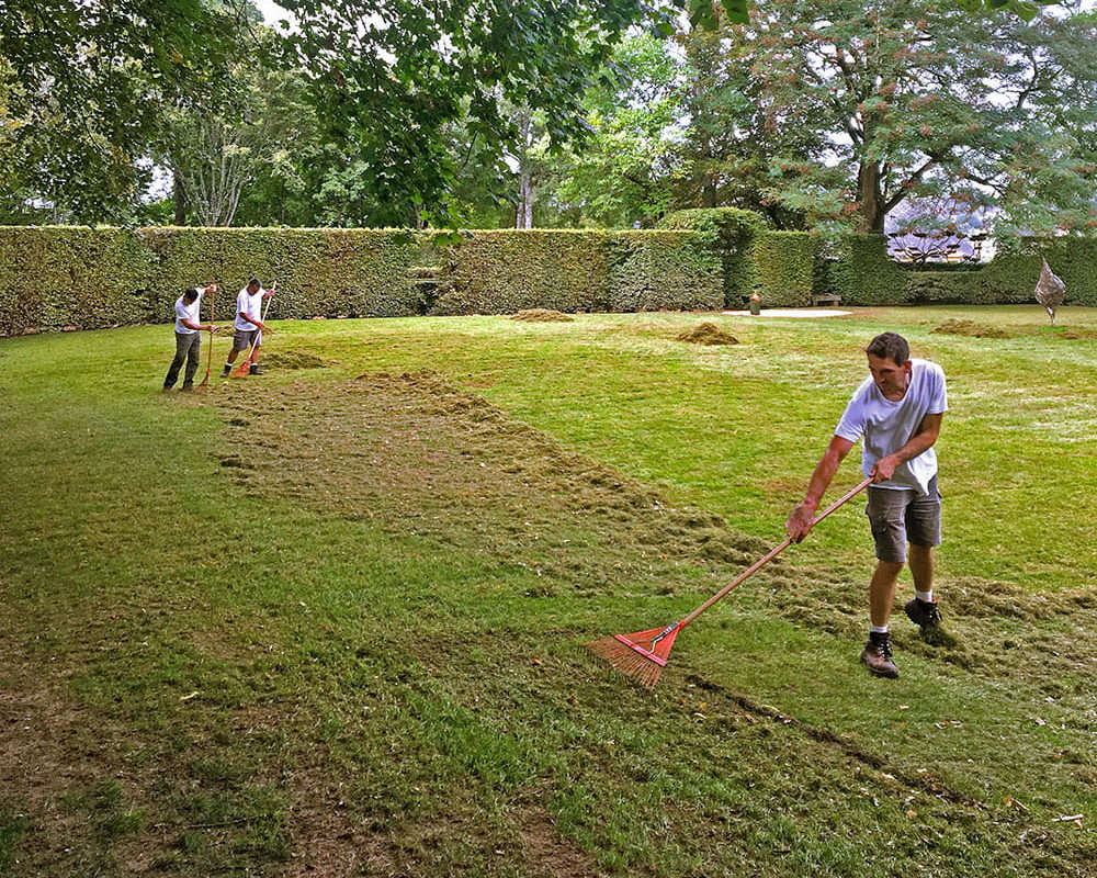 Travaux de scarification des gazons