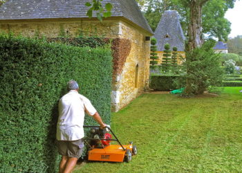Travaux de scarification des gazons