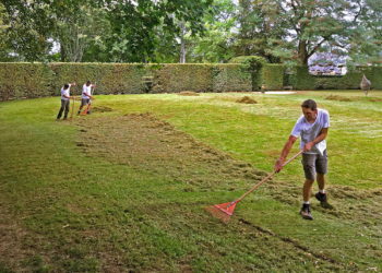 Travaux de scarification des gazons