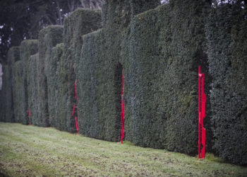 Exposition de Patrick Lainville à Eyrignac (2020)