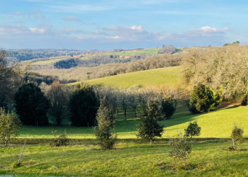 La truffière d'Eyrignac