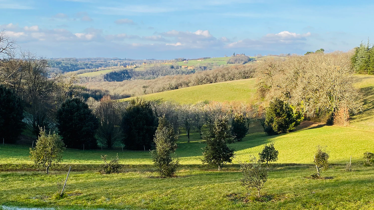 La truffière d'Eyrignac