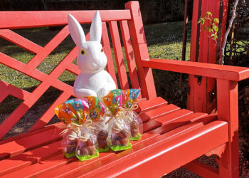 Pâques 2022 vacances sortie enfants jeux jardin plein air potager cluedo chocolat trésor enquête