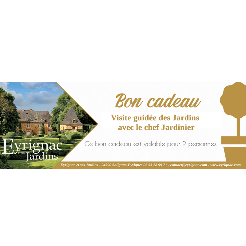 Bon cadeau – Jardin, espaces verts – Jardin&Décoration