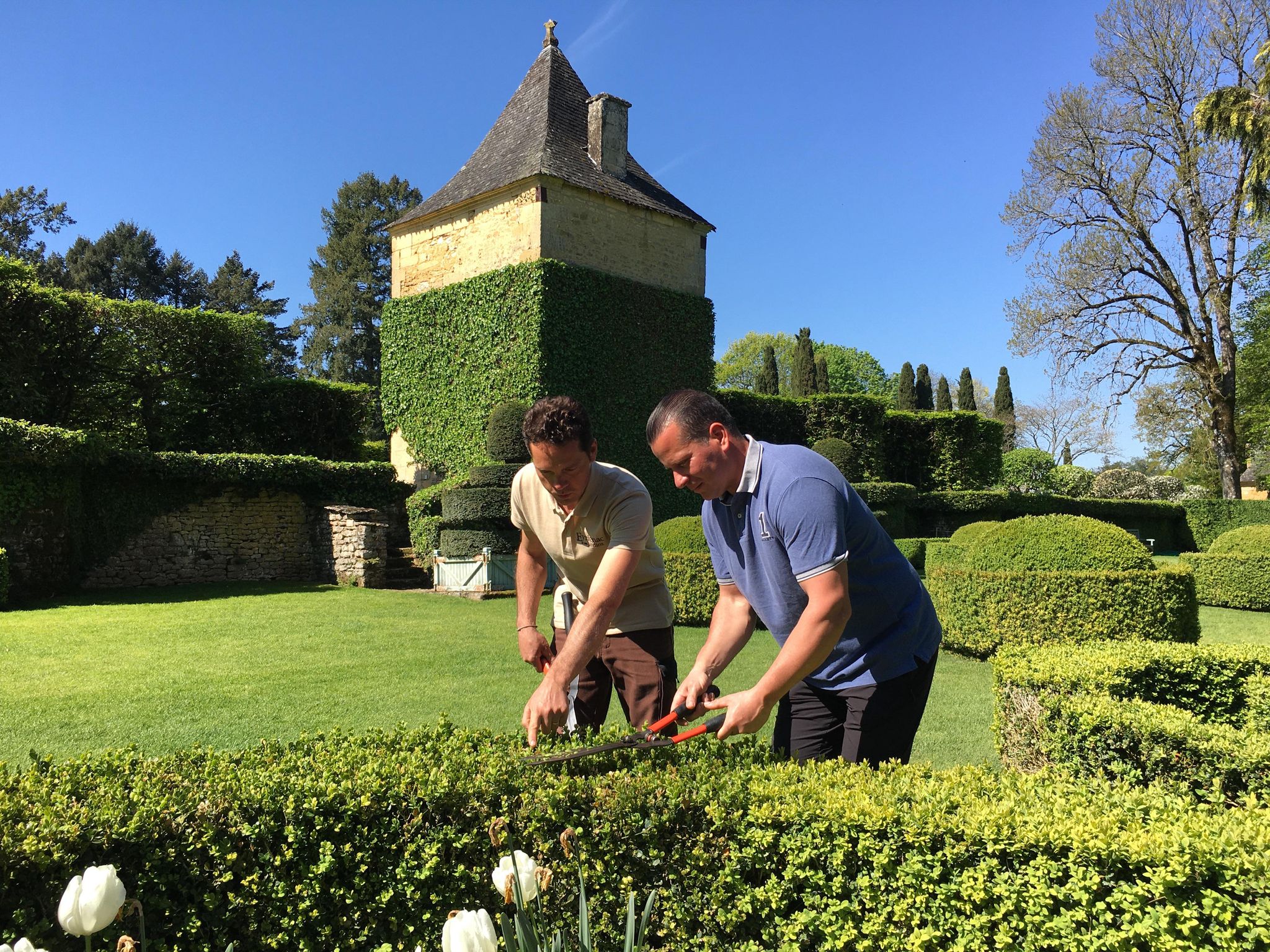 La scarification du gazon (Les conseils du chef jardinier d'Eyrignac) :  Eyrignac et ses jardins