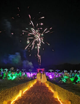 Feu d'artifice qui clôture les Pique-Niques Blancs d'Eyrignac